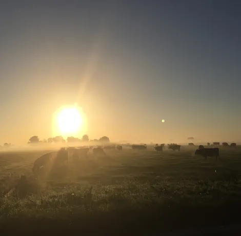 Nieuwe mogelijkheden